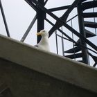 Prison of Alcatraz