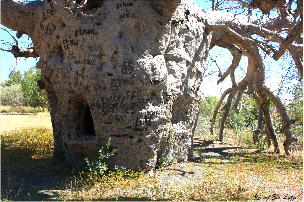 *** Prison Tree ***