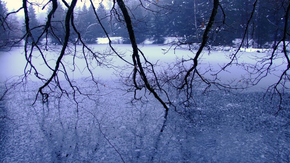 prisonnier de l'hivers