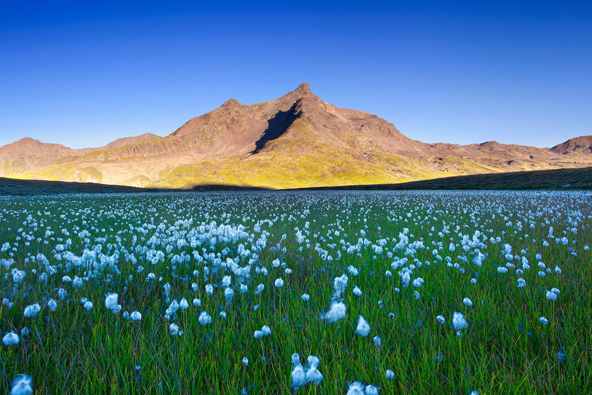 Pristine Landscapes