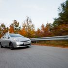 Prius im Herbst (2)