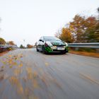 Prius im Herbst (6)