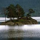 Privat-Insel in Norwegens Setesdal