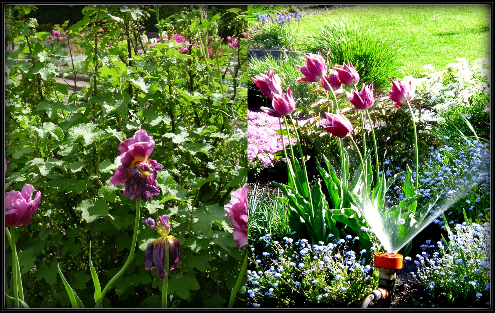 15+ Gartenbilder Privat Garten Gestaltung
