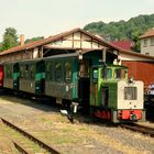 Privatbahn Gelnhausen - Bad Orb.2