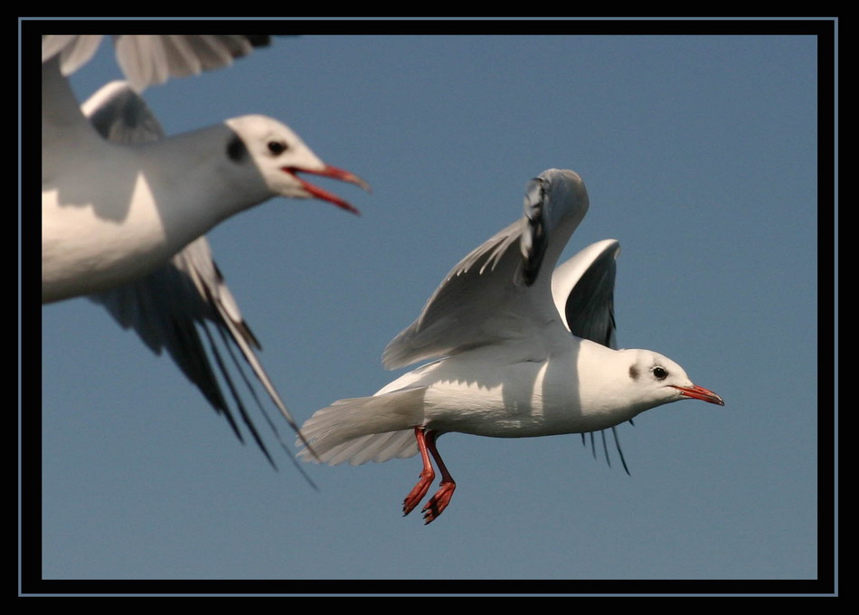 Private Flugstunden