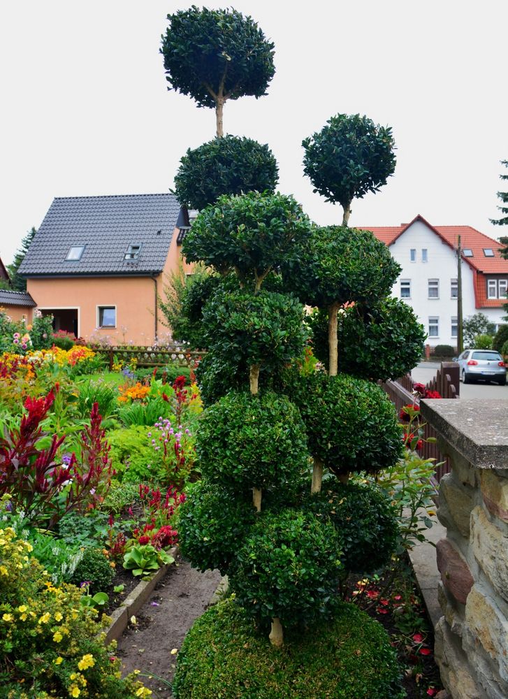 private Gärten Foto &amp; Bild landschaft, garten