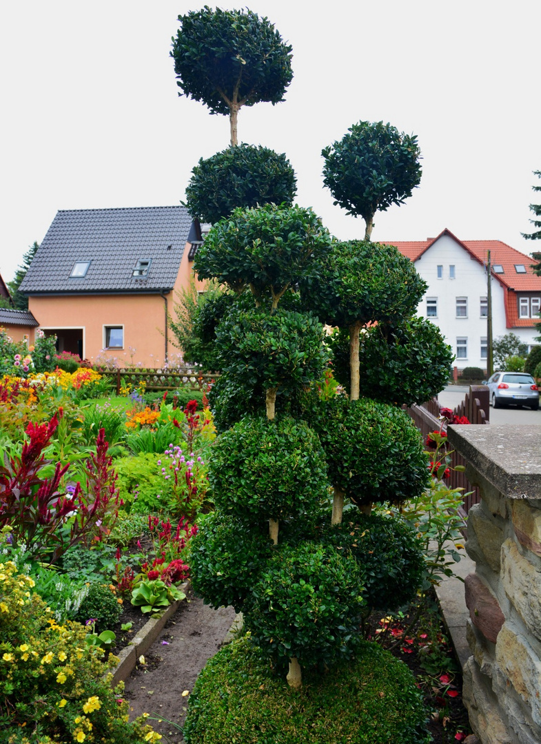 private Gärten Foto & Bild landschaft, garten & parklandschaften