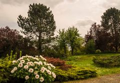 Private Garten-Landschaft