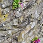 Private Grundstücks Mauer auf dem Weg nach Schloß Burg