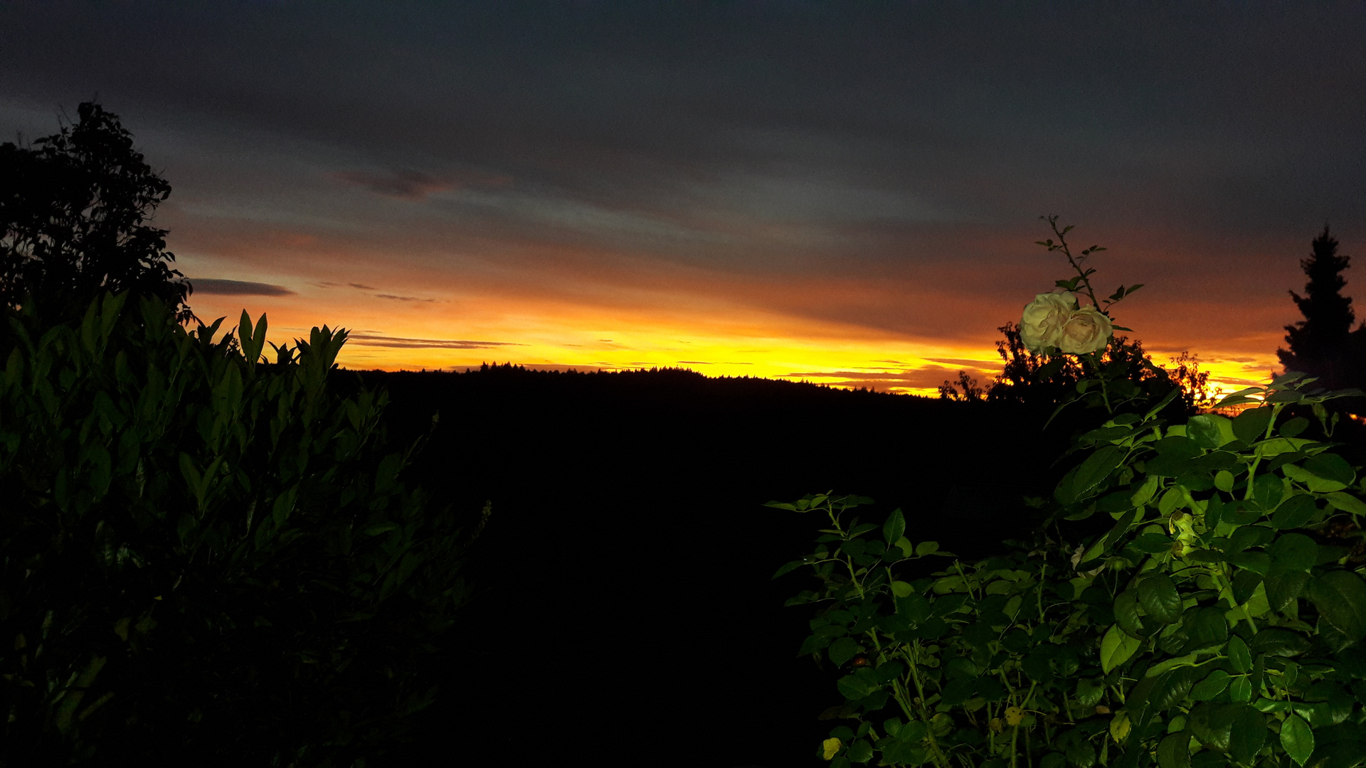 "Private Sunset" auf der Terrasse