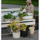 Privater Blumenverkauf in Lettland