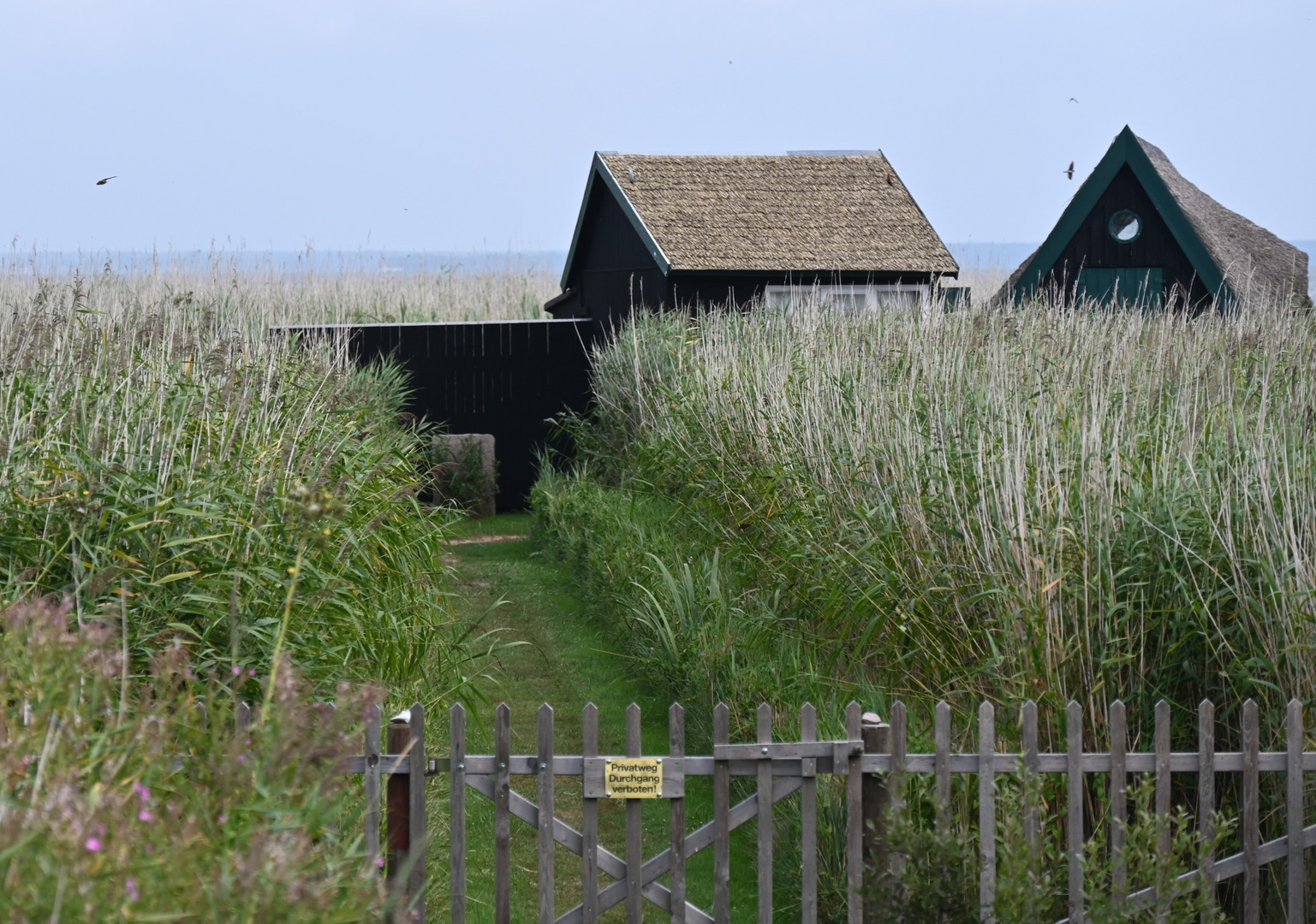 .... Privatweg zum Bodden ....