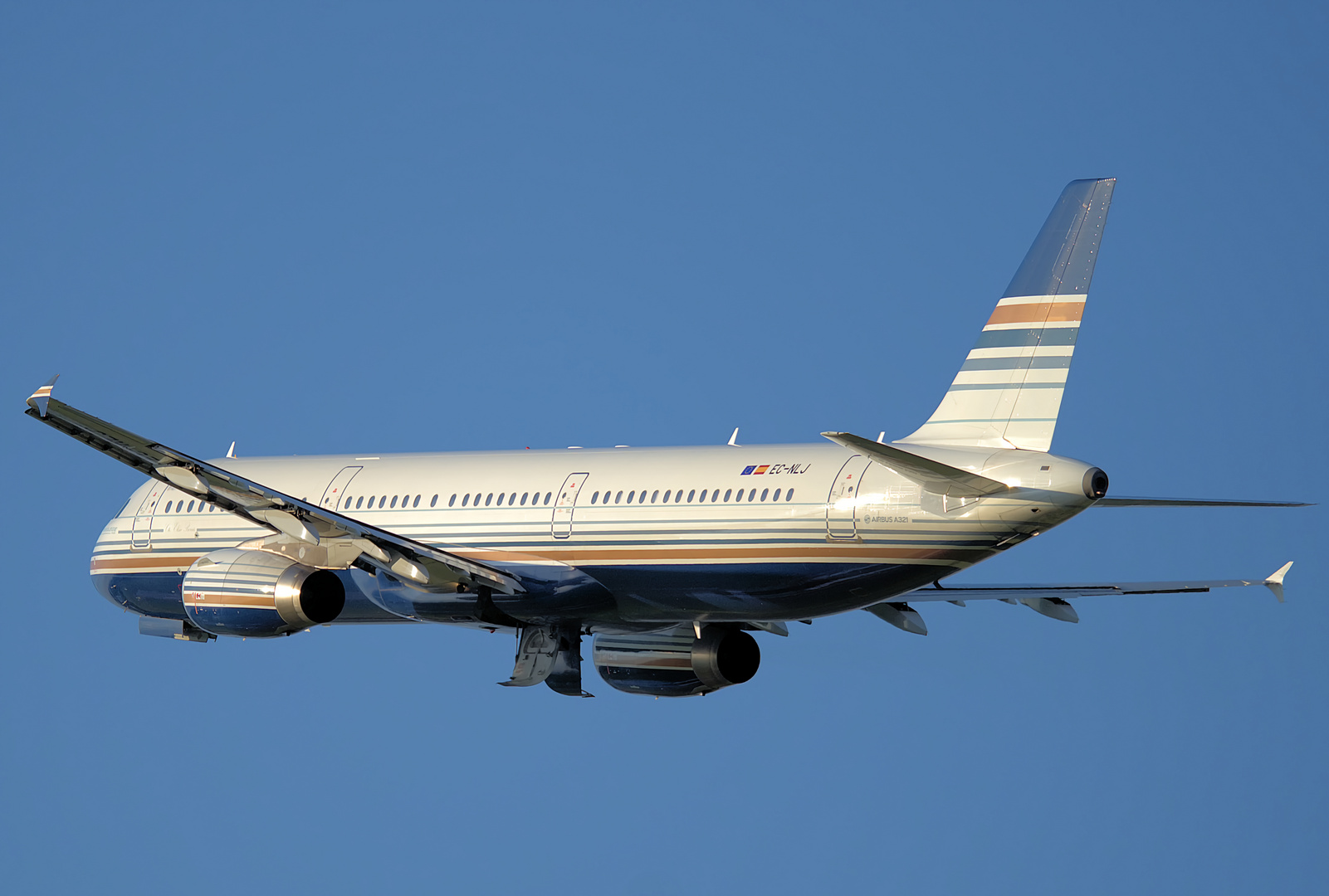 Privilege Style Airbus A321-231