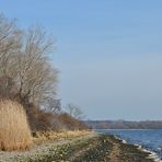 Priwall: Frühlingsleuchten an der Pötenitzer Wiek 02