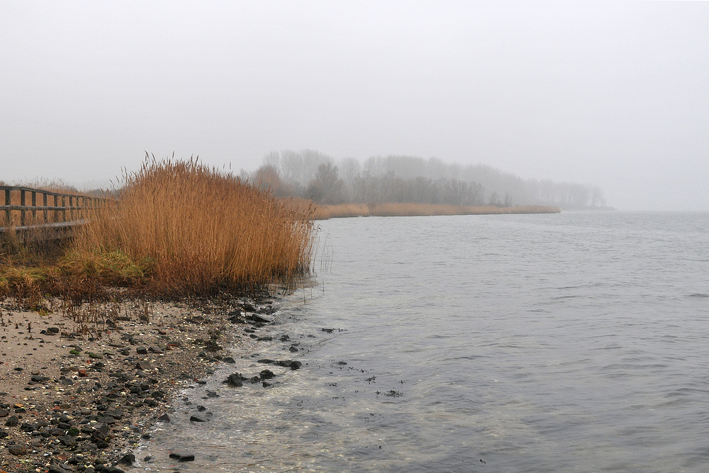 Priwall: Pötenitzer Wiek im Nebel