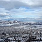 Prizren