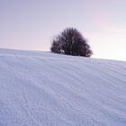 Prêles (Jura)