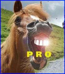 PRO