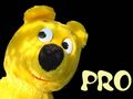 PRO von Der Gelbe Bär