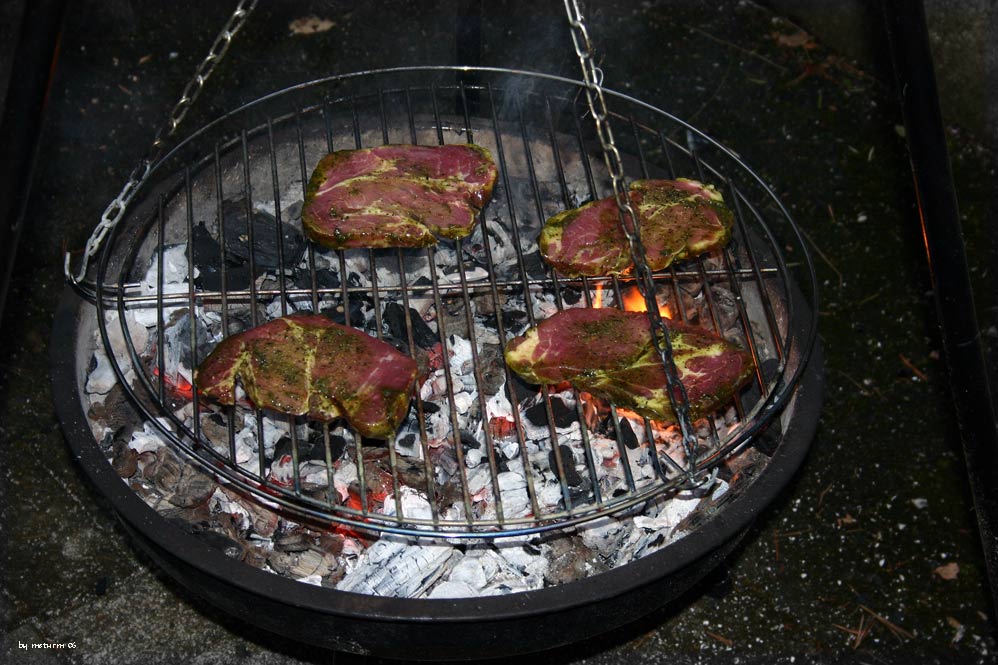 Probegrillen vor Saison Eröffnung