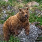 Probiers mal mit Gemütlichkeit!