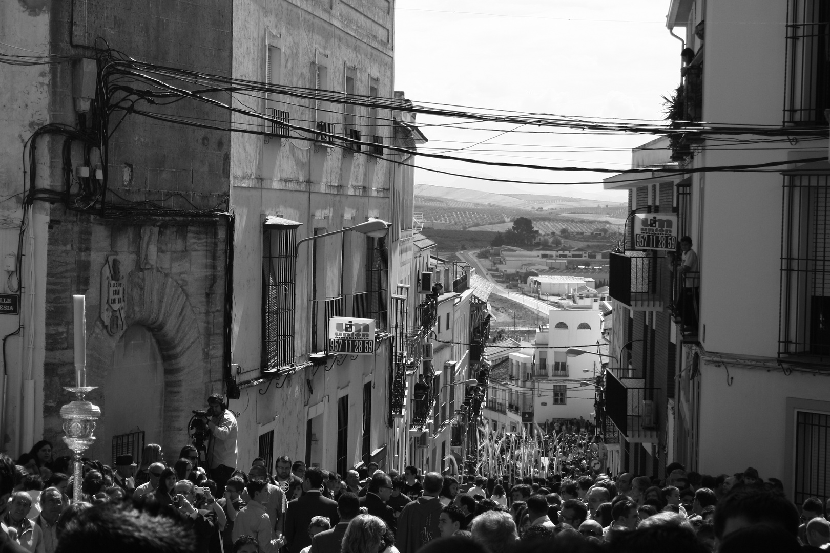 Procesión "La Borriquita" de Montilla