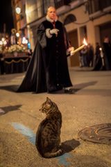 Procesionando