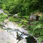 Proche de San Pelegrino, Italie.