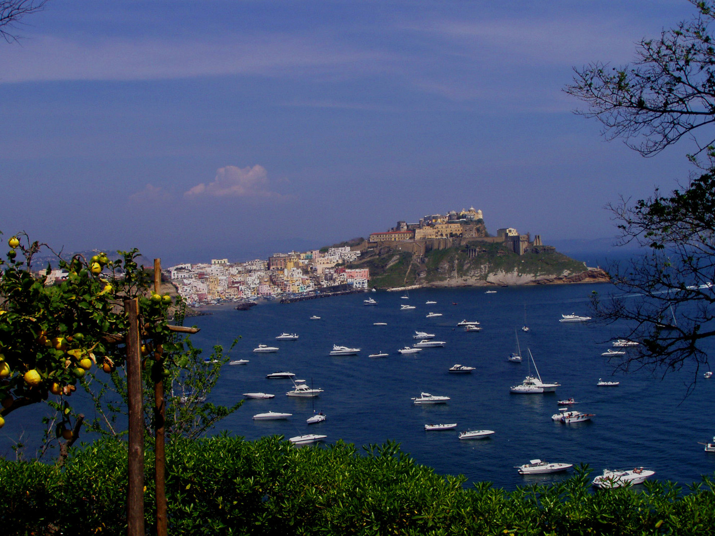 Procida #1