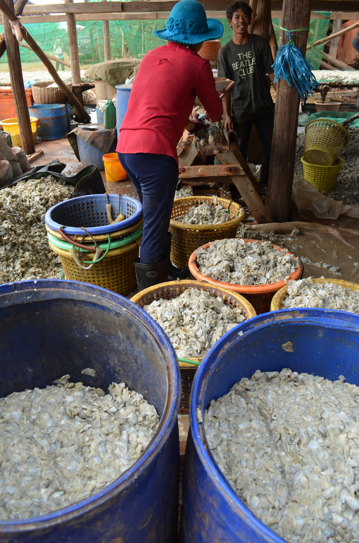 Produktion von Prahok (Fischpaste) in Kambodscha