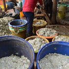 Produktion von Prahok (Fischpaste) in Kambodscha
