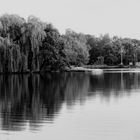 Pröbstingsee, Borken