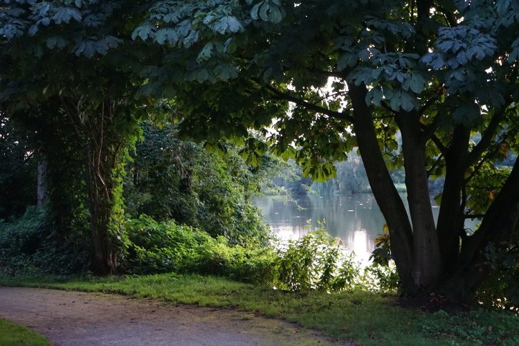 Pröbstingsee in Borken