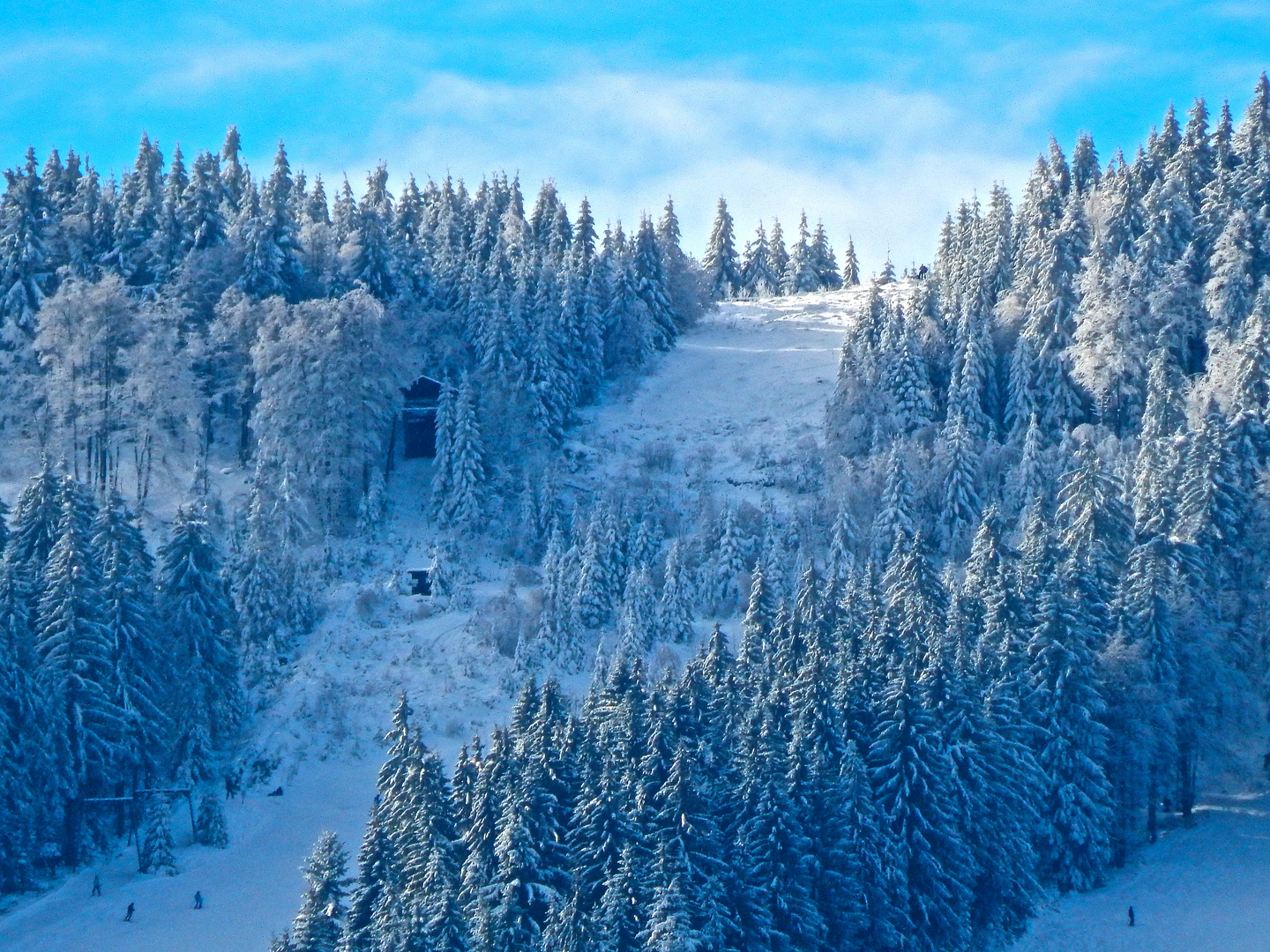 Pröller im Winter