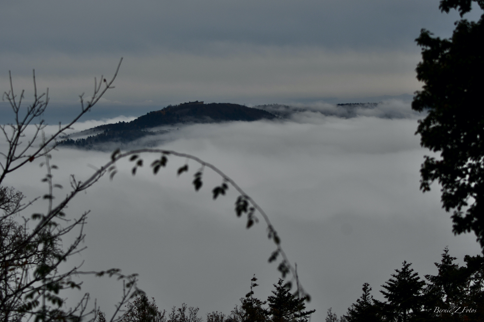 Profond brouillard dans la vallée