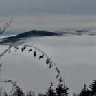 Profond brouillard dans la vallée