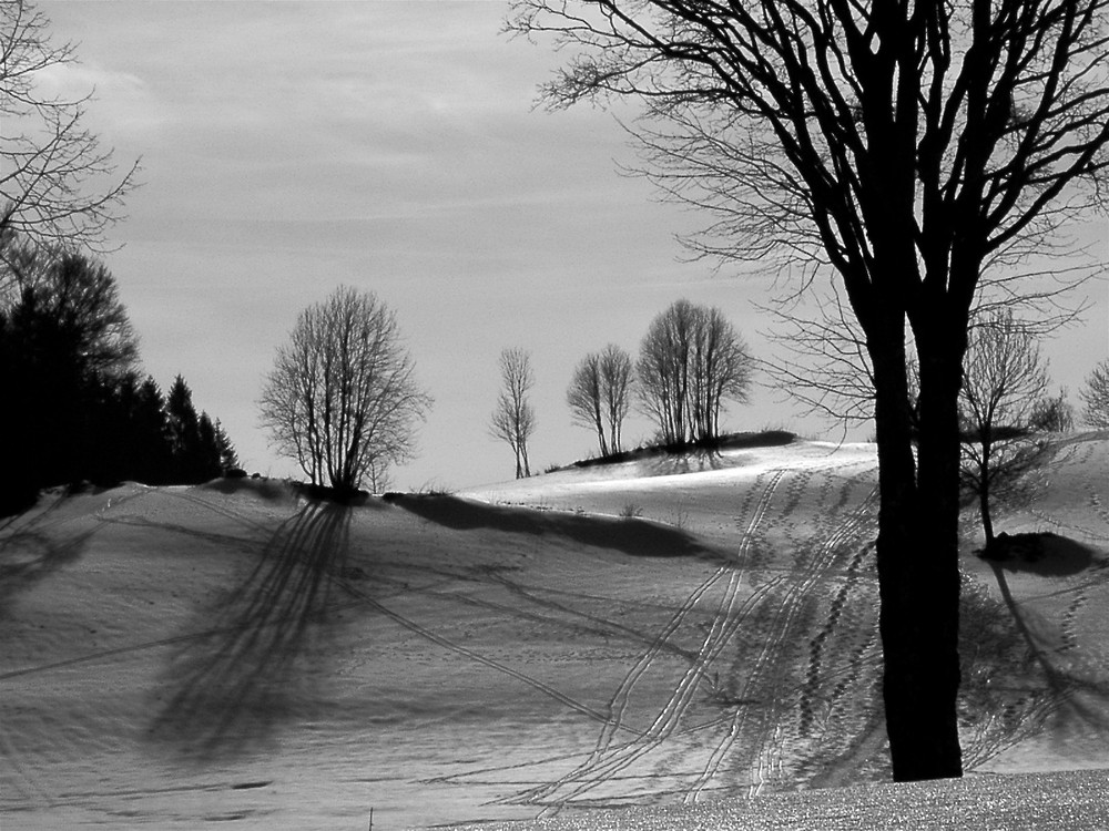 Profondeur d'arbre