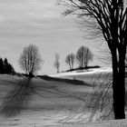 Profondeur d'arbre