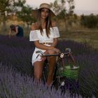 profumo di lavanda