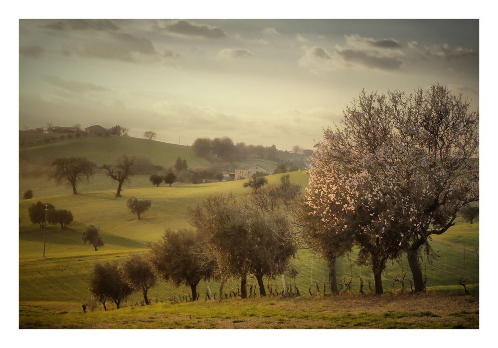 Profumo di primavera