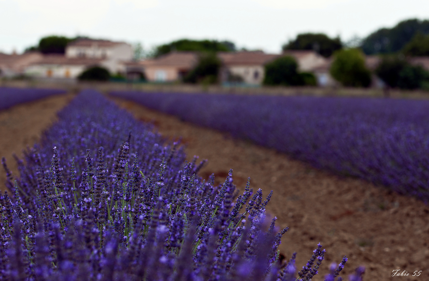 Profumo di Provenza