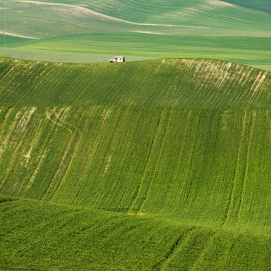 Progetto Full Color Franco Fontana (II)