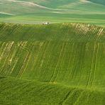 Progetto Full Color Franco Fontana (II)