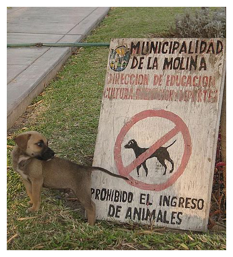 Prohibido?