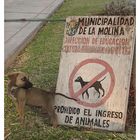 Prohibido?