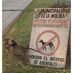 Prohibido?