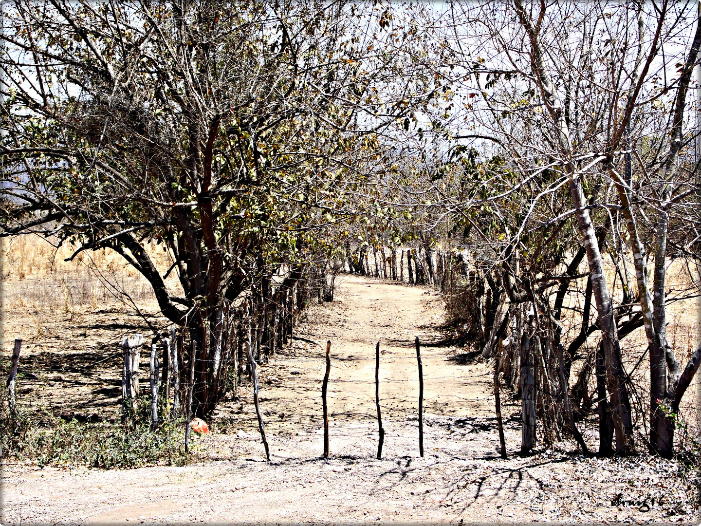 Prohibido el Paso.