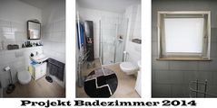 Projekt Badezimmer 2014