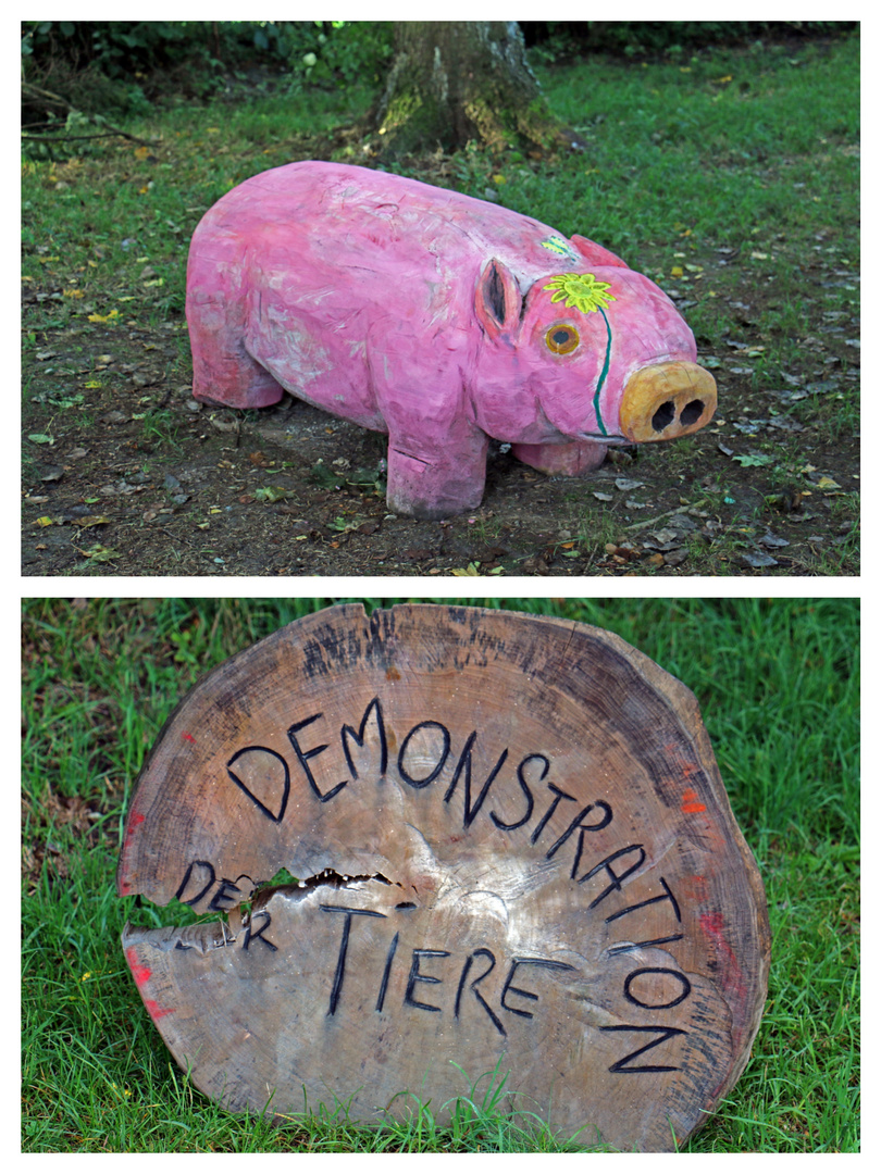 Projekt: Demonstration der Tiere - Teil 1